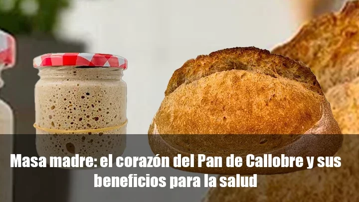 Masa madre: el corazón del Pan de Callobre y sus beneficios para la salud